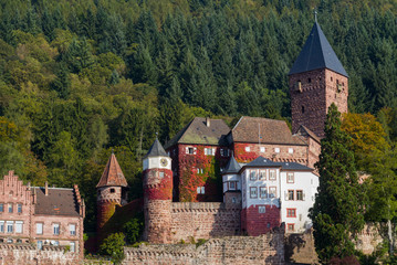 Burg Zwingenberg / Zwingenburg