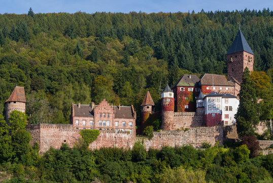 Burg Zwingenberg / Zwingenburg