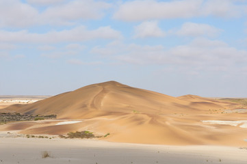 Dunes of the Namib