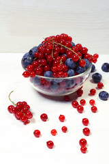 Bowl of red currants and blueberries.