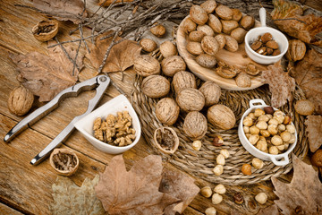 Autumn nuts