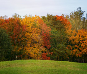 Obraz premium autumn landscape, the bright colors of the season