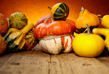 Assorted pumpkins and squashes on rustic wooden table