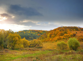 Autumn evening with a colorful forest