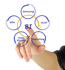 Business Intelligence