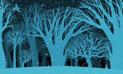 The background image of the mysterious night of the winter fores