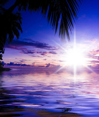 Bay View Sunset Divine