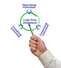 Cash Flow Statement