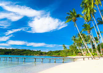 Naklejka premium Jungle Lagoon Green Getaway