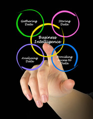 Business Intelligence