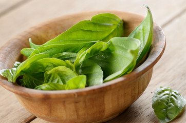 Basil leaves