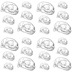 Obraz premium Seamless pattern of animal skull background