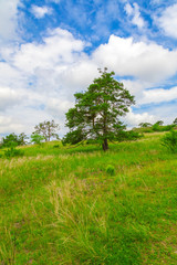 Fototapeta na wymiar Spring landscape in the Czech Republic