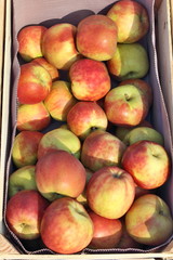 Viele rote reife Äpfel in eine Holzkiste