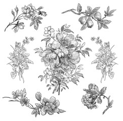 Floral background