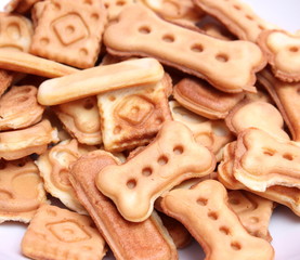 Hundekekse mit Thunfisch