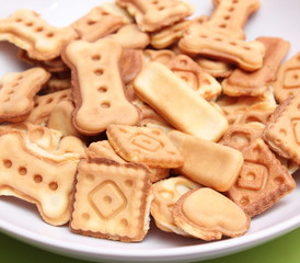 Hundekekse mit Thunfisch