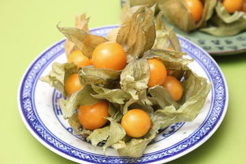 Physalis