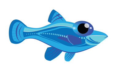 Cute fish cartoon