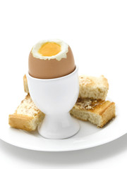 Boiled Egg