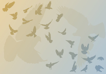 doves on blue and yellow background