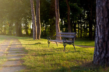 bench in the autumn park