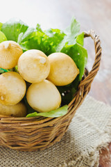 white radish