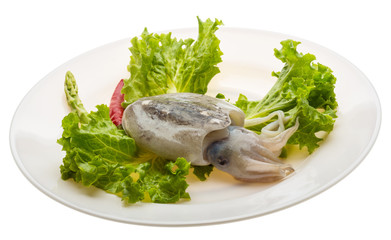 Raw cuttlefish