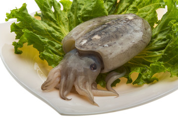 Raw cuttlefish