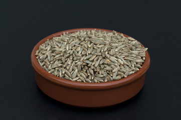 Roggenaehre; Roggen; Roggenaehren; Secale; Cereale;