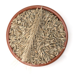 Roggenaehre; Roggen; Roggenaehren; Secale; Cereale;