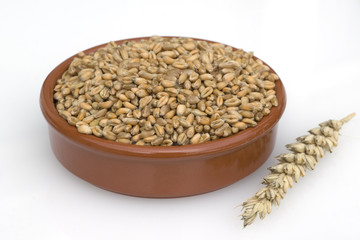 Weizenkoerner, Weizen, Triticum, aestivum,