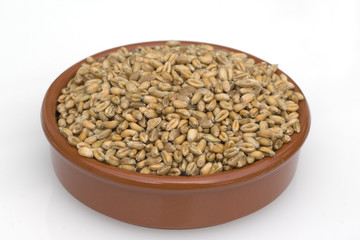 Weizenkoerner, Weizen, Triticum, aestivum,