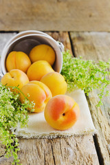 ripe apricots