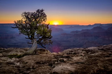 Fotobehang grand canyon national park arizona © Fotos 593