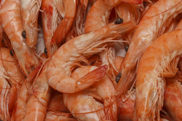 Fresh Prawns (Shrimps) seafood