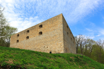 Fototapeta na wymiar fortress on green hill