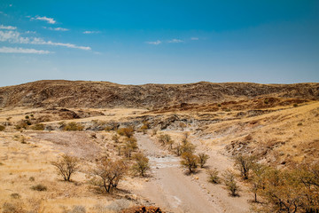 Safari in Africa