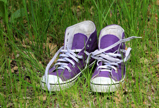 gymshoes in grass