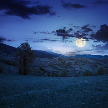 village on hillside meadow in mountain at night
