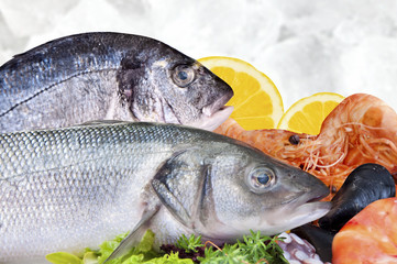 Seafood on market