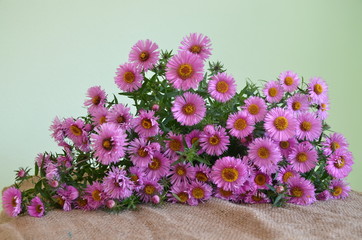 Blumenstrauß aus Herbstastern liegend