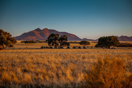 Fototapeta Sossusvlei