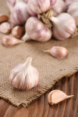 garlic close-up on burlap background