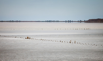 The dried salt lake
