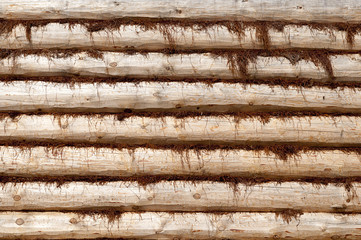 New log wall with moss