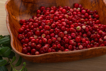 Cowberry
