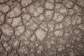 Dry cracked earth