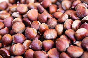Chestnut background