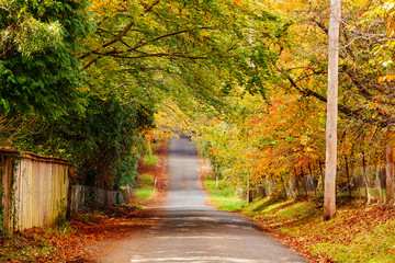 Autumn street view © vanlifester